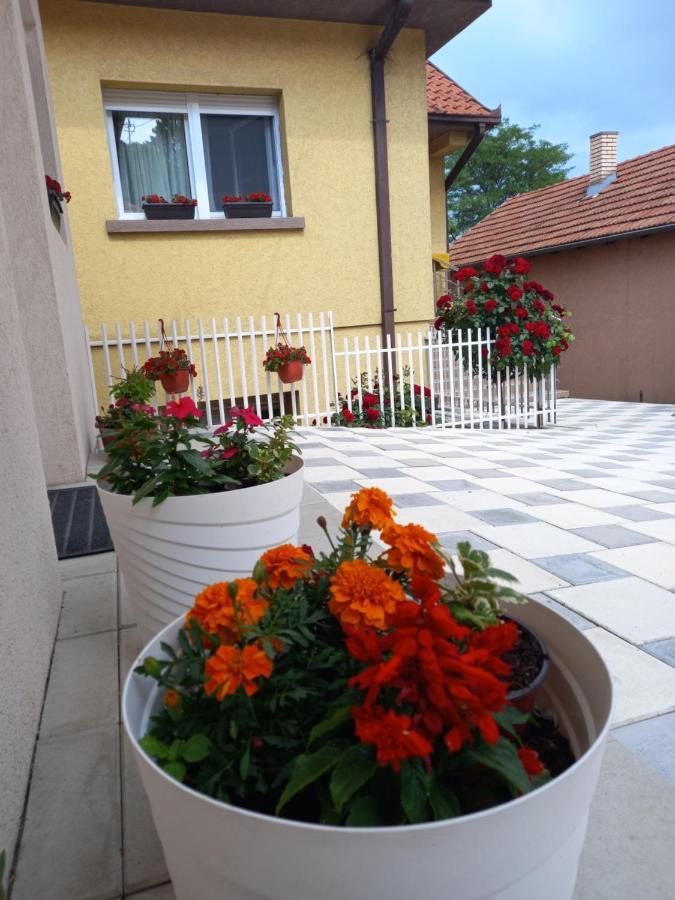 Leda Apartmani Smederevo Zewnętrze zdjęcie