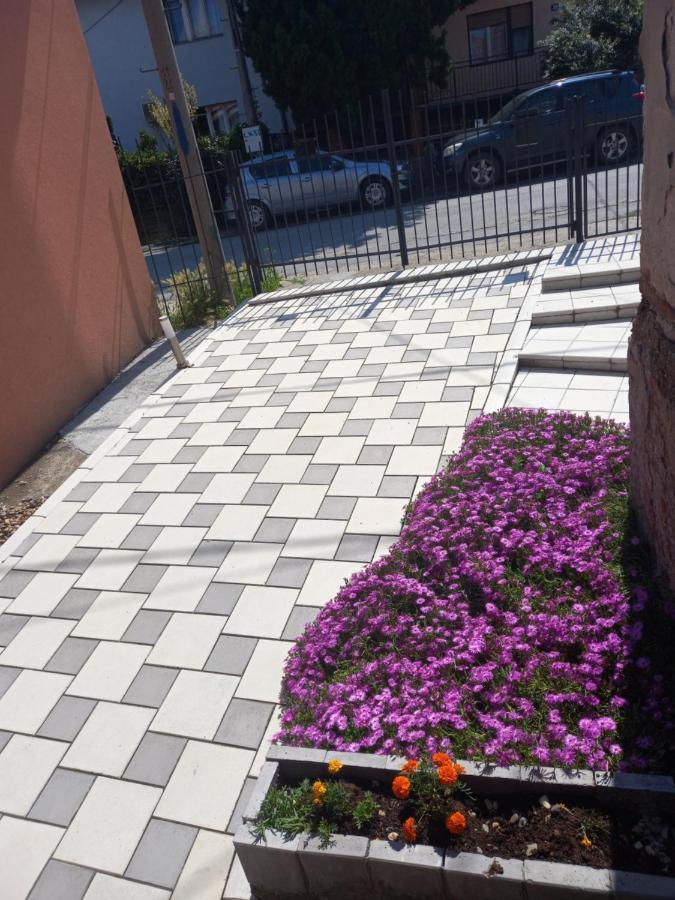 Leda Apartmani Smederevo Zewnętrze zdjęcie