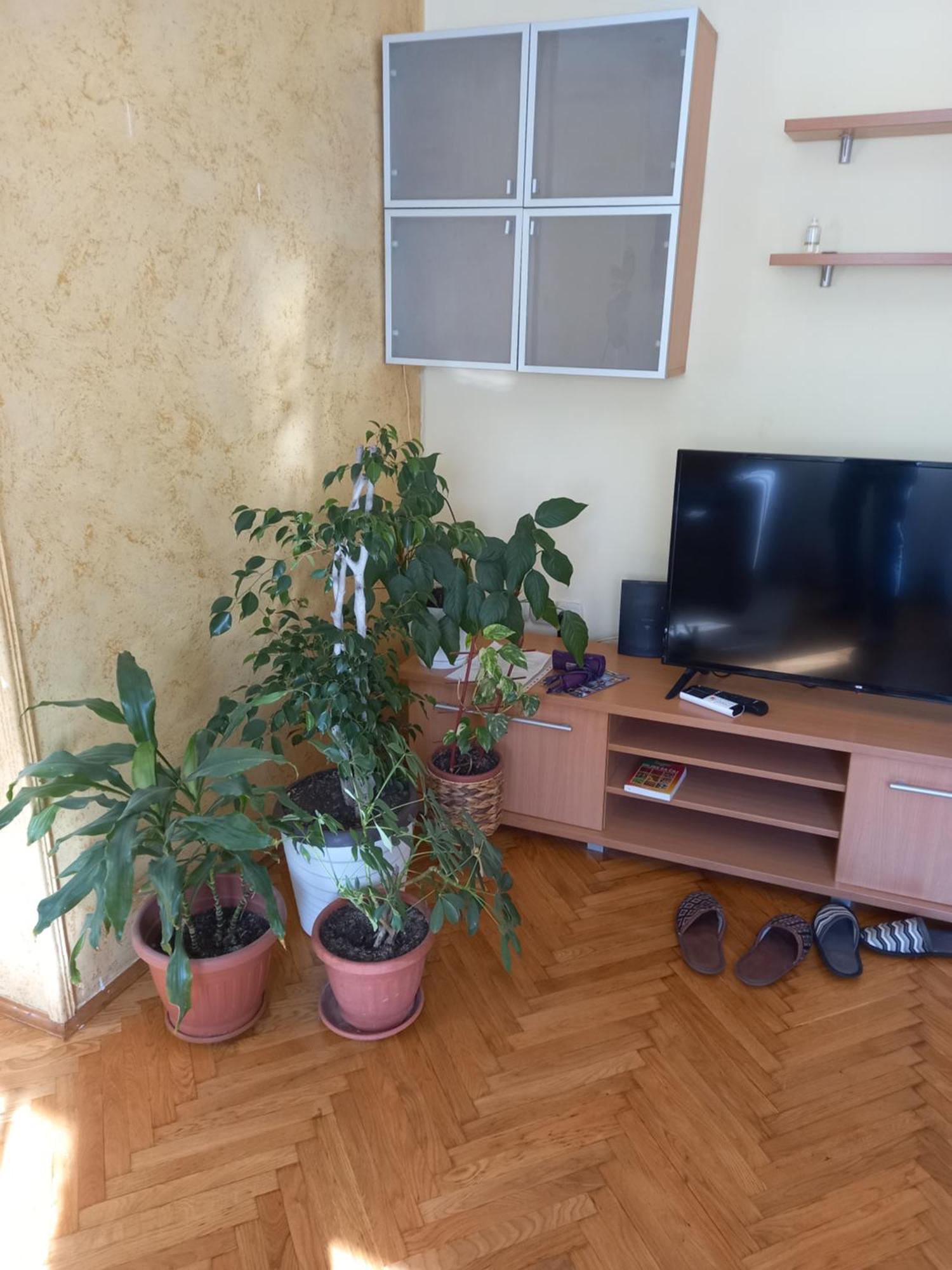 Leda Apartmani Smederevo Zewnętrze zdjęcie