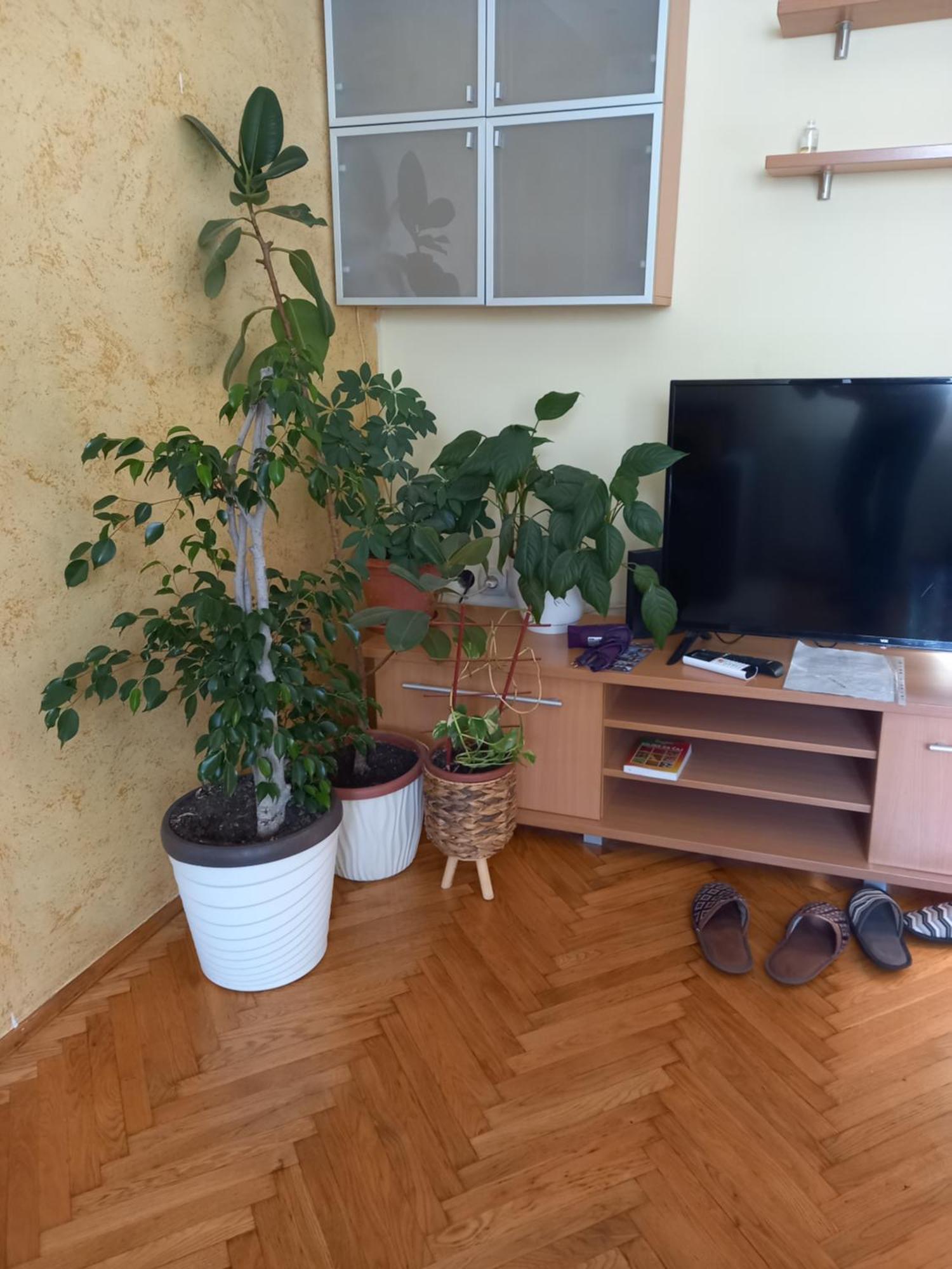 Leda Apartmani Smederevo Pokój zdjęcie