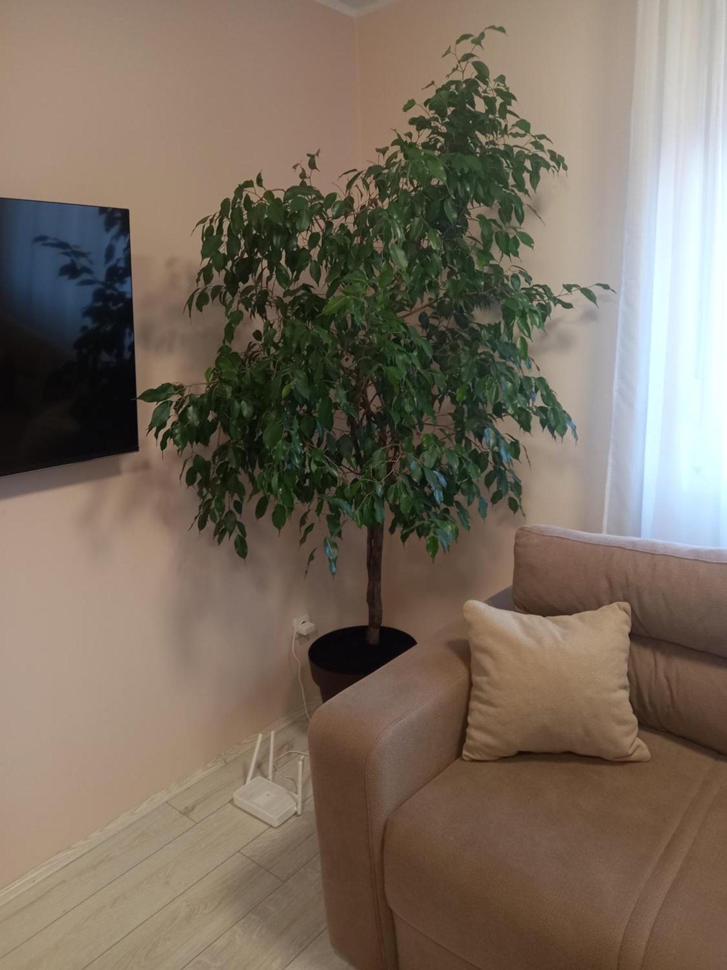 Leda Apartmani Smederevo Zewnętrze zdjęcie